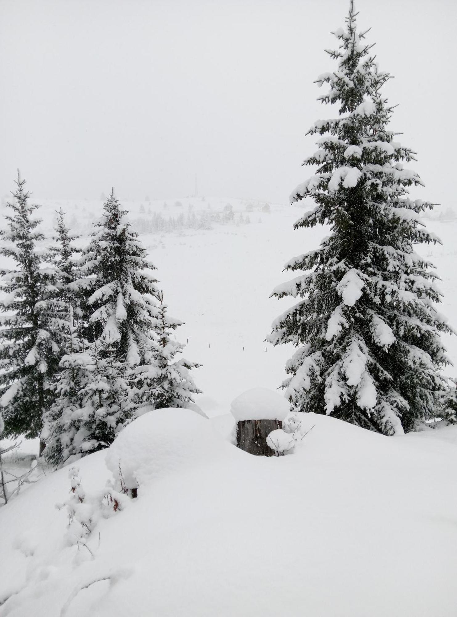 Durmitor Apartment Zabljak  Exterior photo